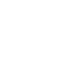 Mr Blogger